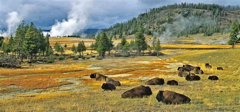 Yellowstone’s landscape: a meeting of volcanic wonders, water, and wild country.